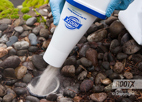 rootx funnel jar how to step 2