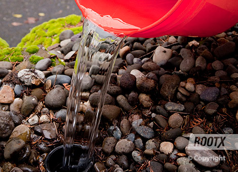 rootx funnel jar how to step 3